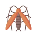 Cockroaches